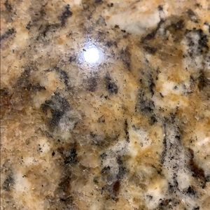 Meet your Posher, Bradley